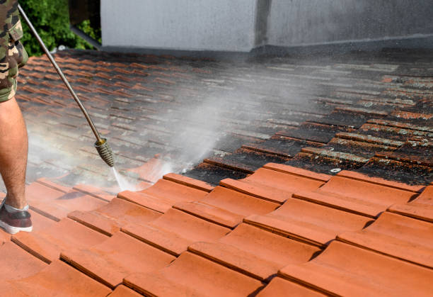 Best Pressure Washing Near Me  in Eden Prairie, MN