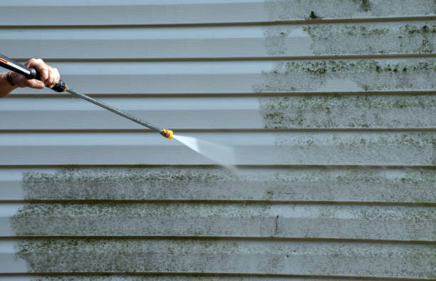 Best Roof Power Washing Services  in Eden Prairie, MN